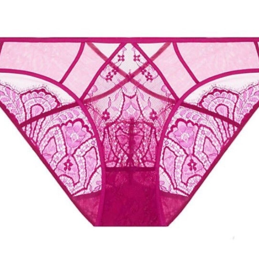 Dita Von Teese MAESTRA Magenta Bikini Panty Sheer Lace Burlesque Pin-Up D22390